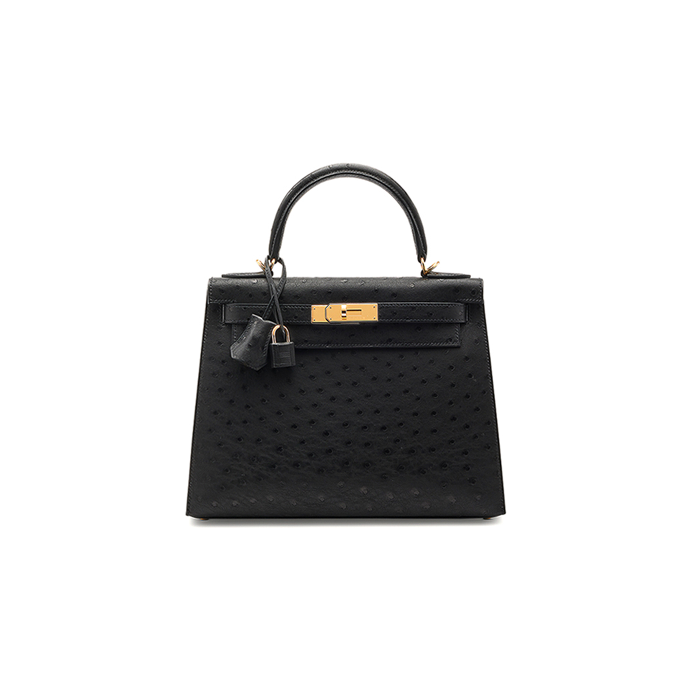 HERMÈS MASTER A BLACK OSTRICH KELLY 25 WITH GOLD HARDWARE (25*17*7cm)